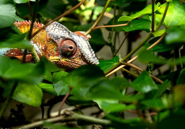 Galerien Galerien Bilder zu unterschiedlichen Bereichen der Fotografie