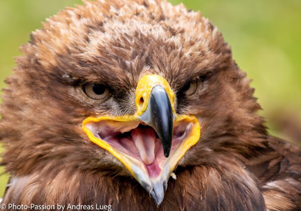 Galerien Galerien Bilder zu unterschiedlichen Bereichen der Fotografie